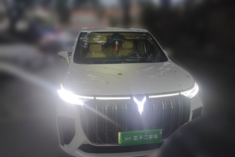 Used VOYAH Dream 2022 Low-Carbon Edition Home