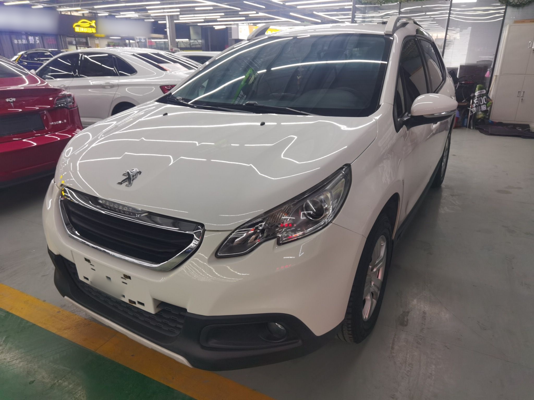 تحت مقدمة السيارة