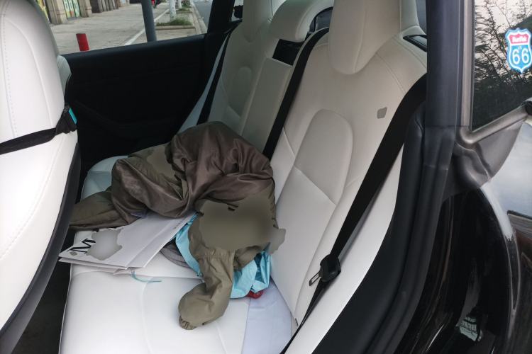 Used Tesla Model 3 2021 Revised Version Standard Range Rear-Wheel Drive Upgraded Edition 3D1