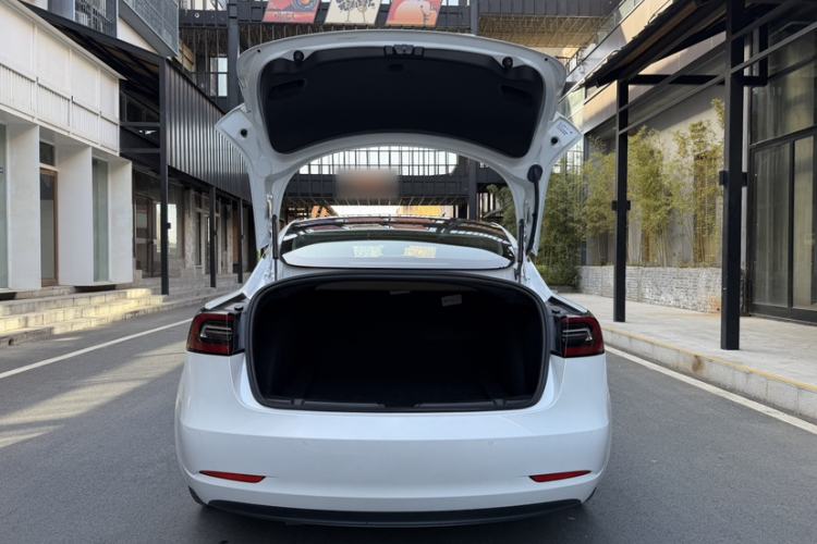 Used Tesla Model 3 (Import) 2019 Long-Range Rear-Wheel-Drive Version