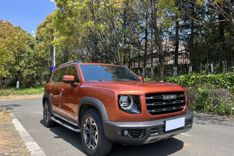 Used Haval DARGO 2021 2.0T DCT 4x4 Chinese Rural Dog Edition