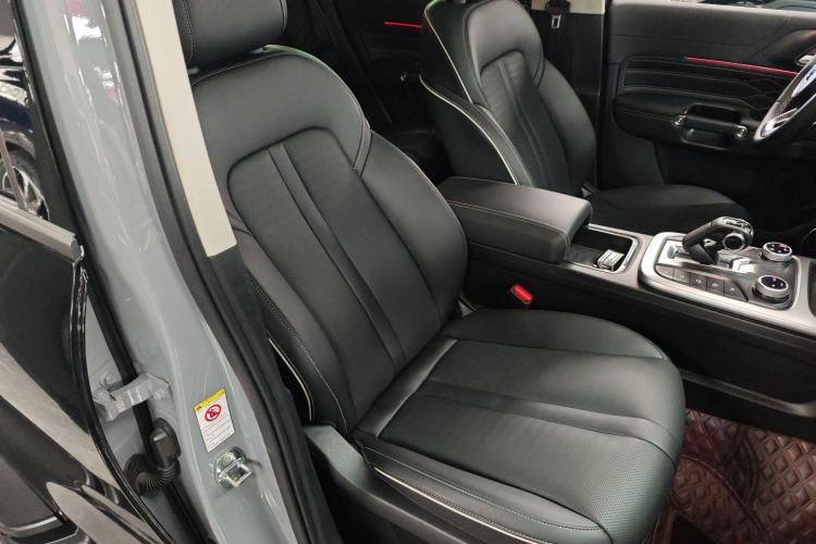 Used Tank 300 2024 2.0T Conqueror