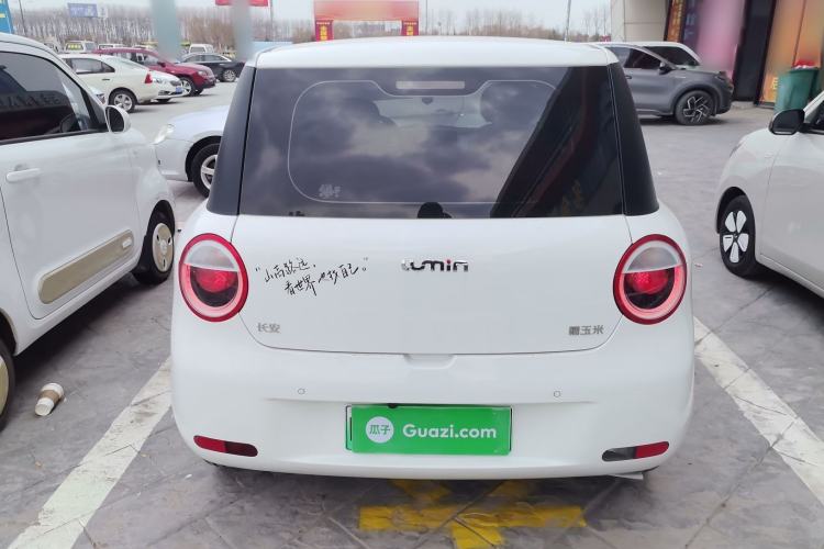 Used Qiyuan Lumin 2025 205 km Xiangqin Version