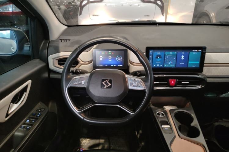 Used SOL E10X 2022 Flower Fairy Style Baby's Breath
