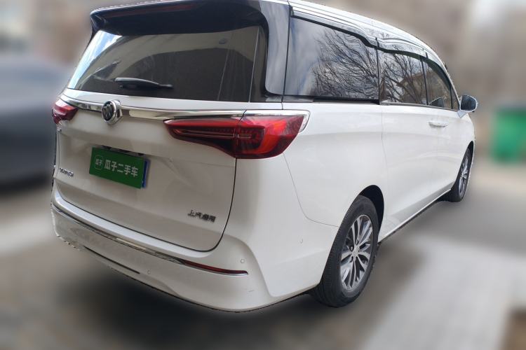 Used Buick GL8 2022 ES Landtrek 653T Luxury Edition Rear Right 45 Deg