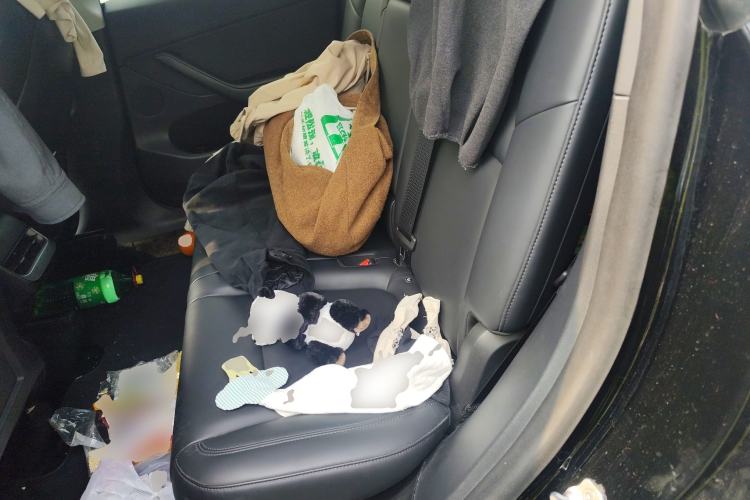 Used Tesla Model Y 2021 Long-Range All-Wheel-Drive Version