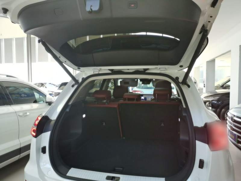 Used Hongqi HS5 2023 2.0T Qixiang Pro Edition — 18