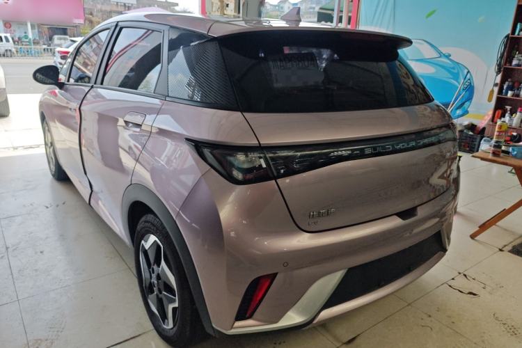 Used BYD Dolphin 2021 405 km Fashion Edition