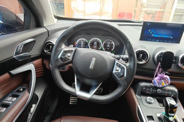 Used Wey P8 2018 2.0T Flagship Model
