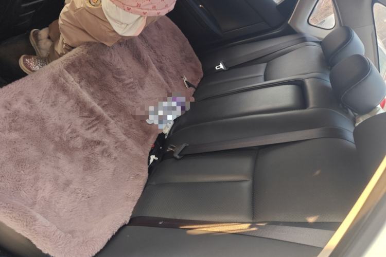 Used Nissan Sylphy 2019 1.6XV CVT Smart Connect Luxury Edition China VI Standard