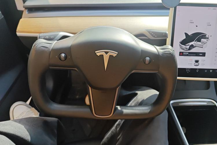 Used Tesla Model 3 2022 Rear-Wheel-Drive Version
