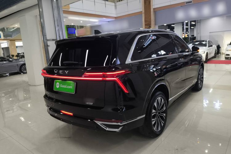 Used Wey Lanshan 2023 Four-Wheel Drive Ultra-Long Range Version