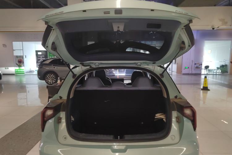 Used Geometry E Firefly 2022 401 km Linglong Tiger 5 Seats