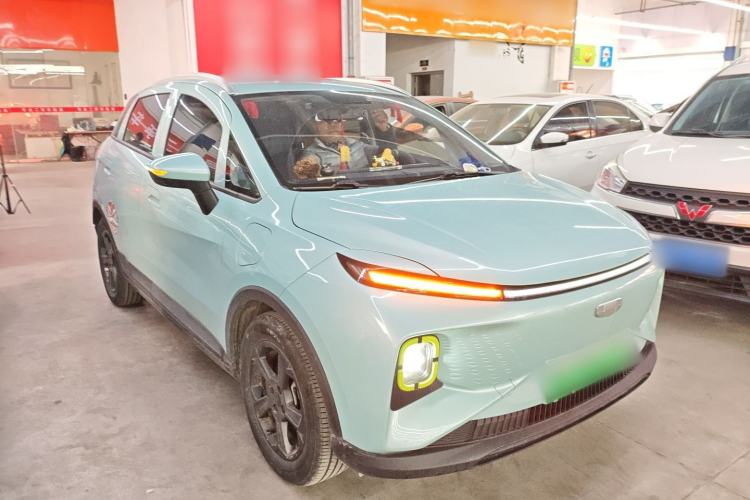 Used Geometry E Firefly 2022 401 km Linglong Tiger 5 Seats