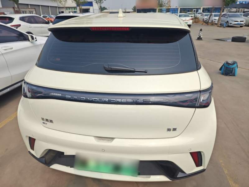 Used BYD Dolphin 2025 420km Free Edition — 5