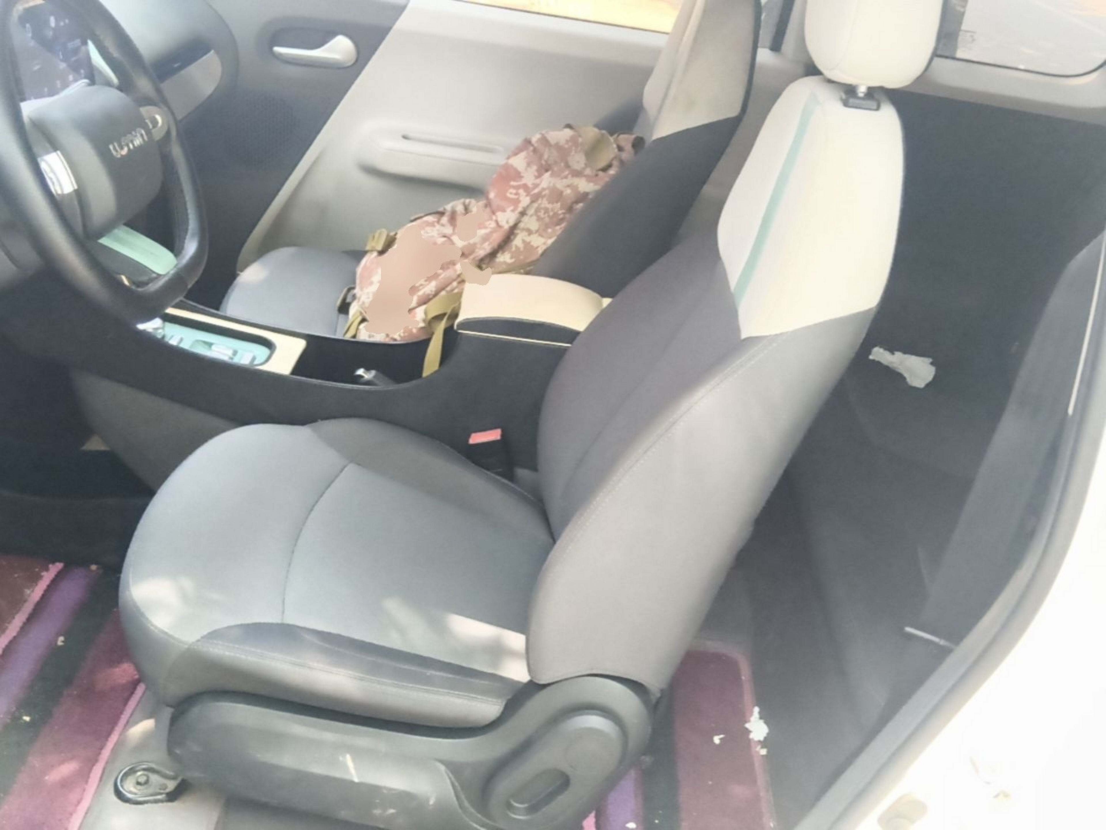Interior delantero