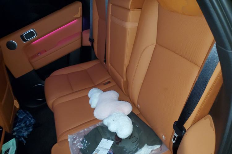 Used Li Auto L6 2025 Pro Smart Refresh Edition Left Rear Seat