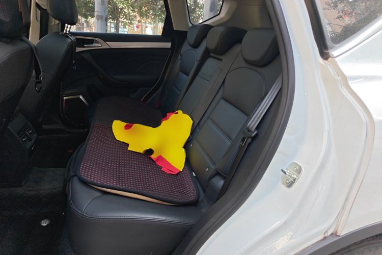 Used Haval H7 2016 Blue-Label H7 2.0T Automatic Luxury Model Left Rear Seat