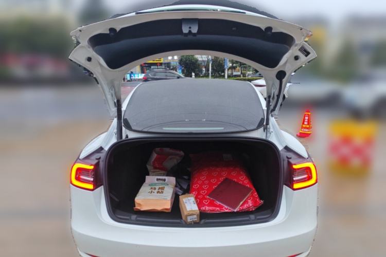 Used Tesla Model 3 2022 Performance High-Performance All-Wheel-Drive Version Trunk