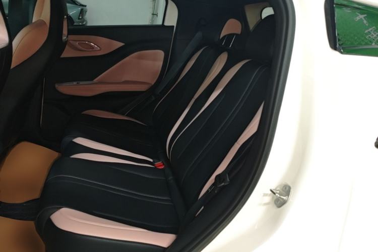 Used BYD Seagull 2025 305 km Free Version Left Rear Seat