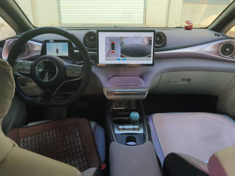 Used BYD Dolphin 2021 405 km Free Version — 5