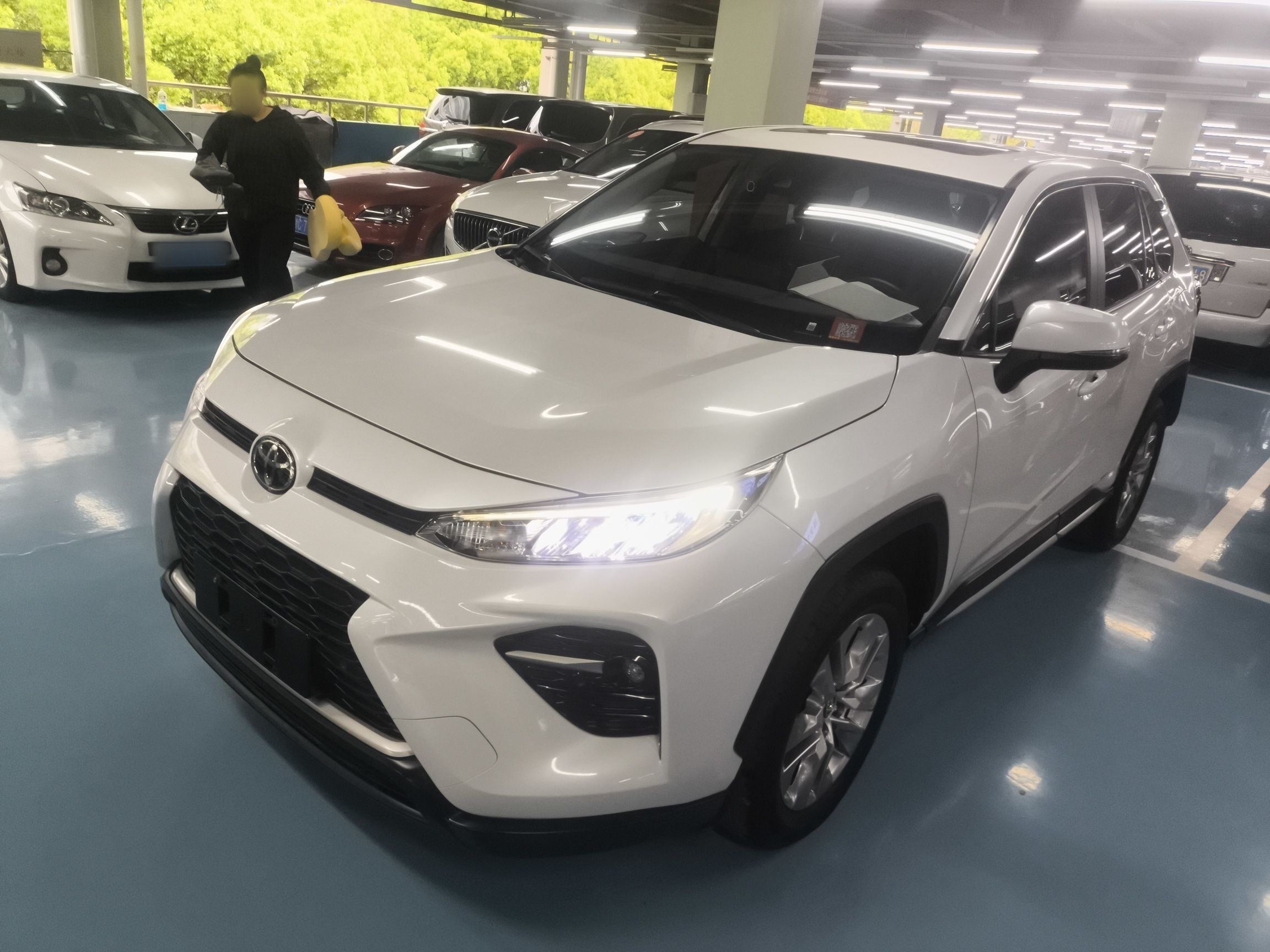 تحت مقدمة السيارة