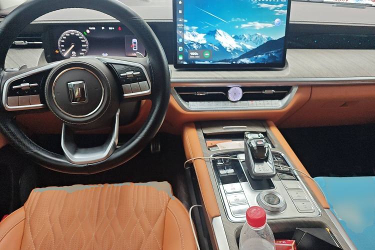 Used Tank 500 New Energy 2024 Hi4-T
