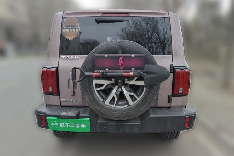 Used Tank 300 2021 City Edition 2.0T—Truly Stylish