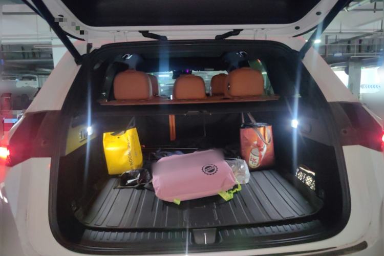 Used Li Auto L6 2024 Max
