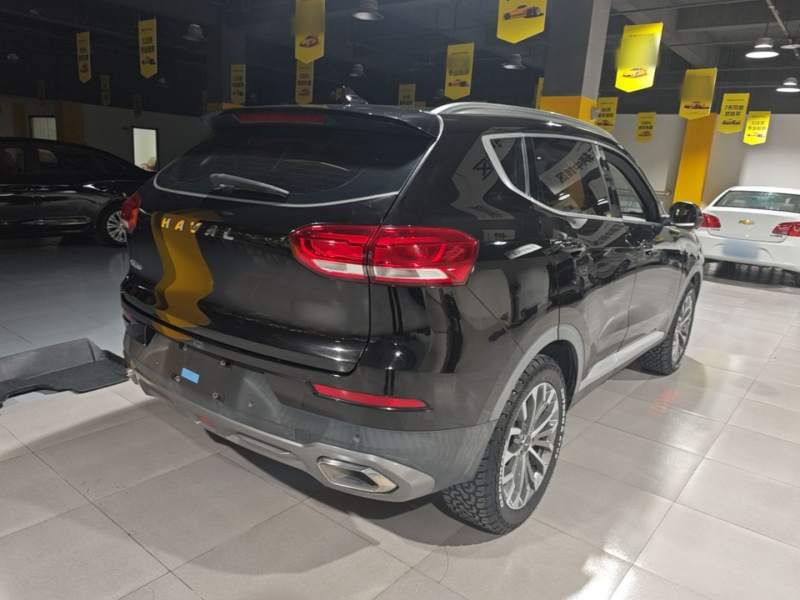 Used Haval H6 2020 1.5 GDIT Automatic Platinum Champion Edition — 6