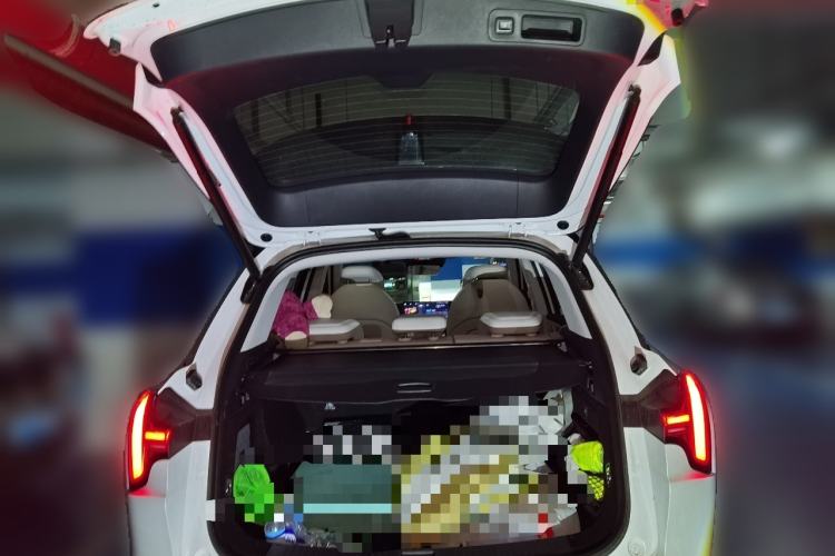 Used NETA L 2024 Pure Electric 510 Flash-Charge Red Edition