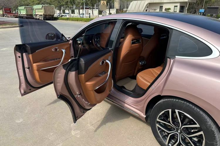 Used ORA Lightning Cat 2022 555 km Luxury Edition