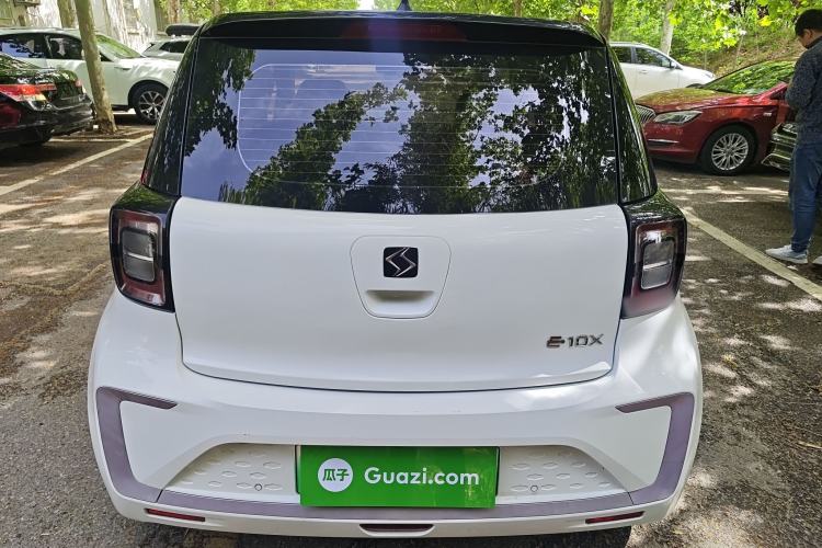 Used SOL E10X 2022 Flower Fairy Design Dandelion
