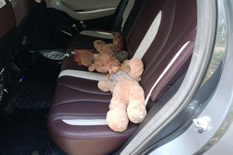 Used Geely Auto Monjaro L 2021 2.0TD DCT EVO Two-Wheel Drive Smart Luxury Version Left Rear Seat