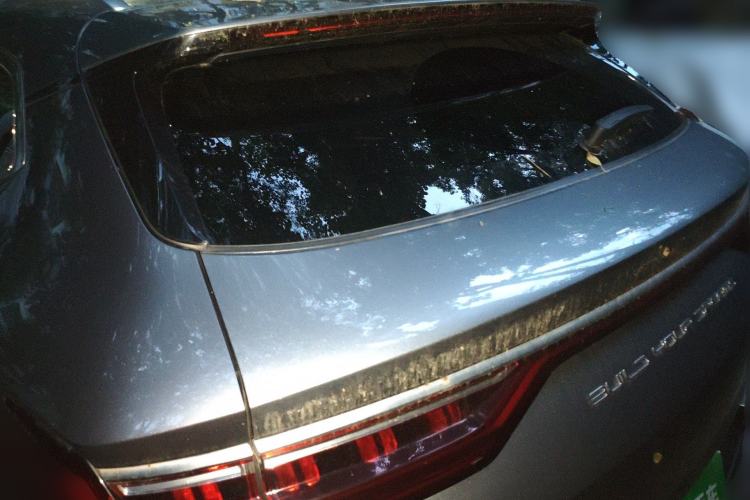 Used BYD Song PLUS New Energy 2021 DM-i 110KM Flagship PLUS Rear