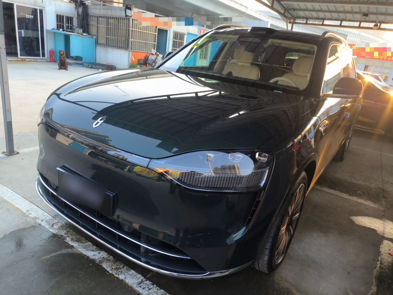 Parte inferior delantera