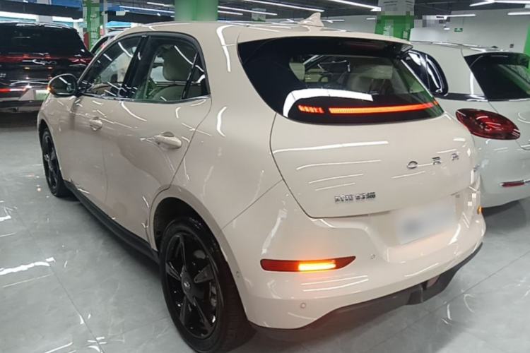 Used ORA Good Cat 2024 501 km Luxury Version