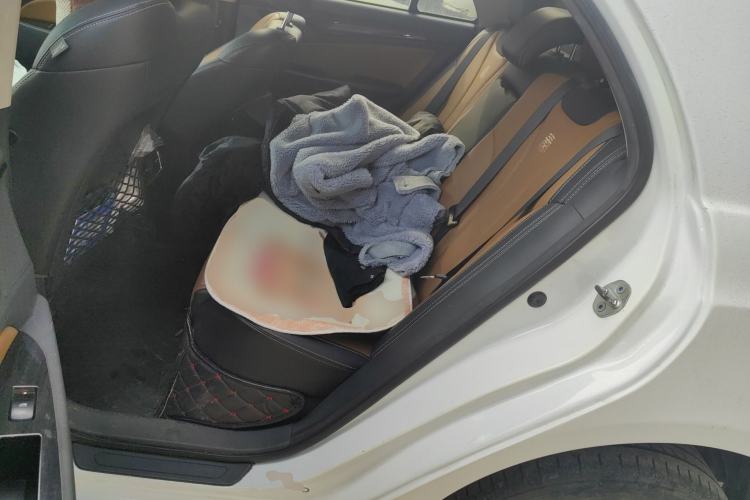 Used BYD Qin New Energy 2018 1.5T Smart Connect Premium Model
