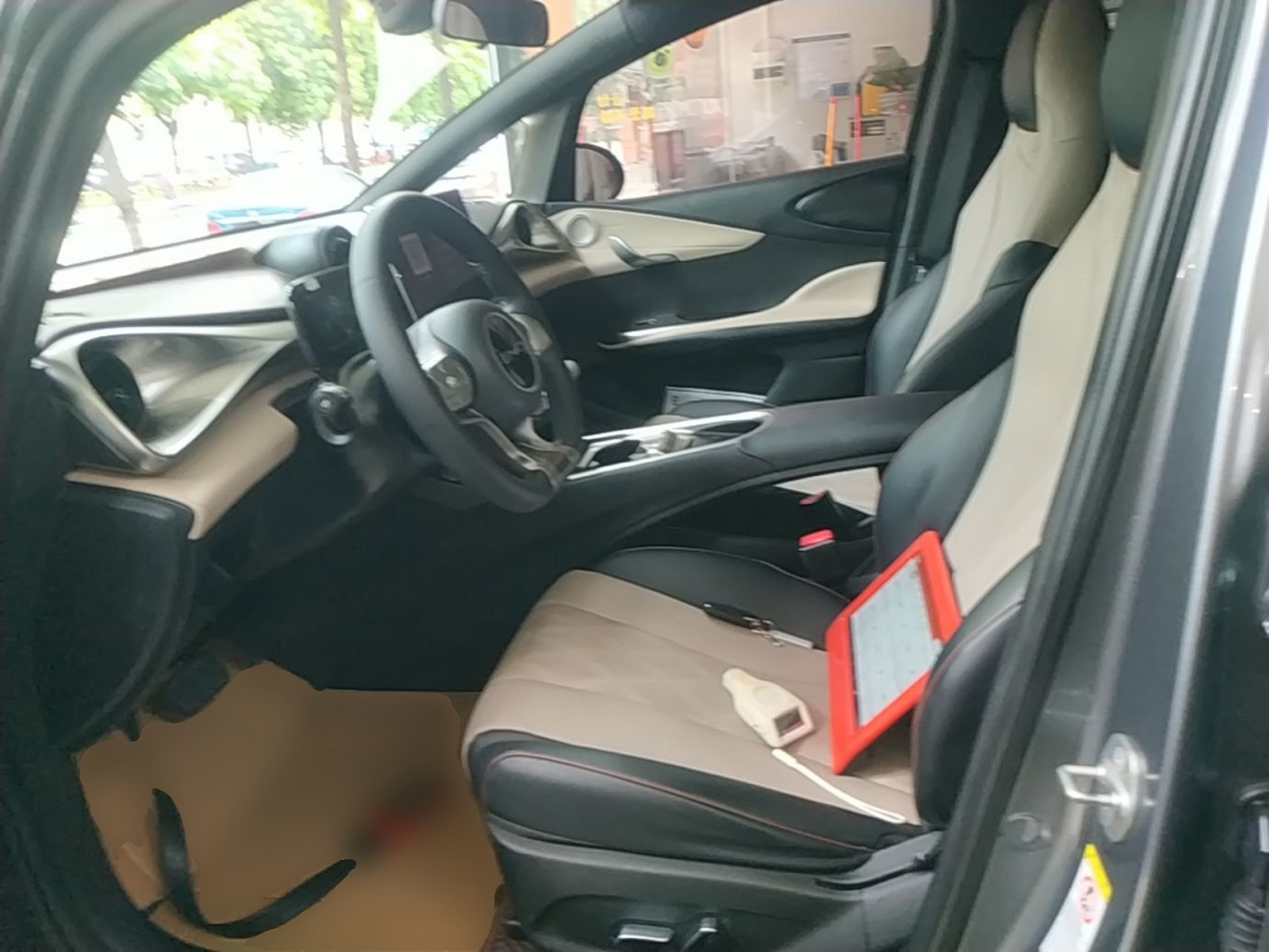 Interior delantero