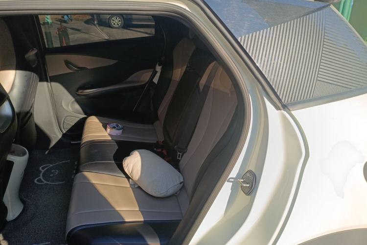 Used BYD Dolphin 2024 Honor Edition 420km Fashion Version Left Rear Seat