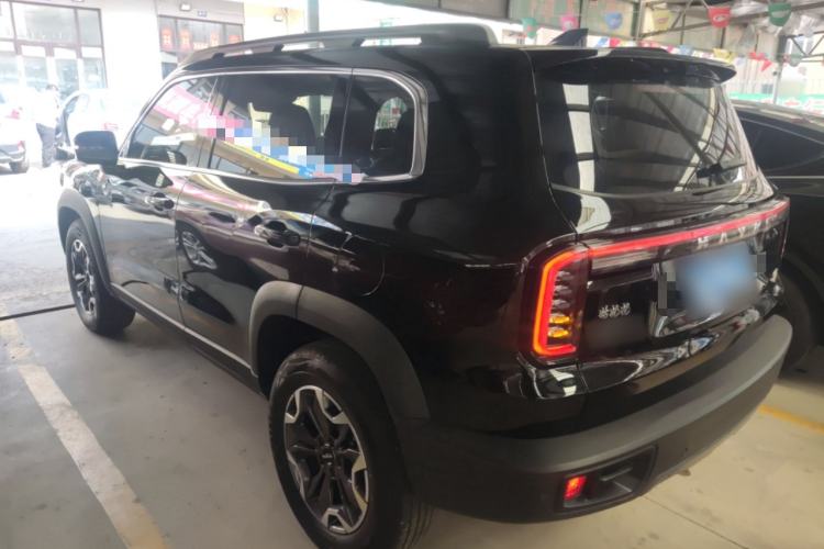 Used Haval DARGO 2024 2.0T DCT Chinese Rural Dog Edition
