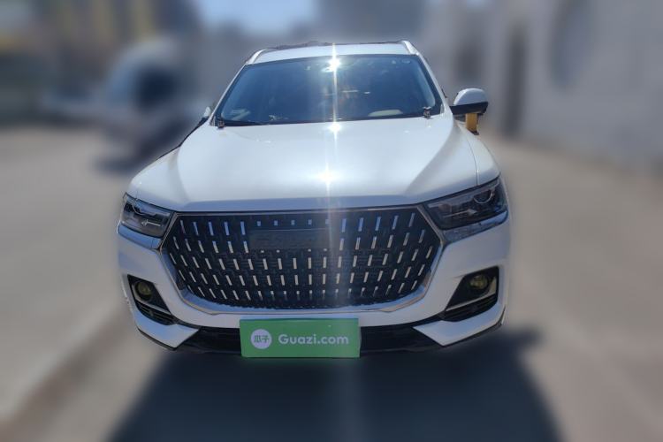 Used Haval H6 2023 National Trend Edition 1.5T Automatic Urban Version
