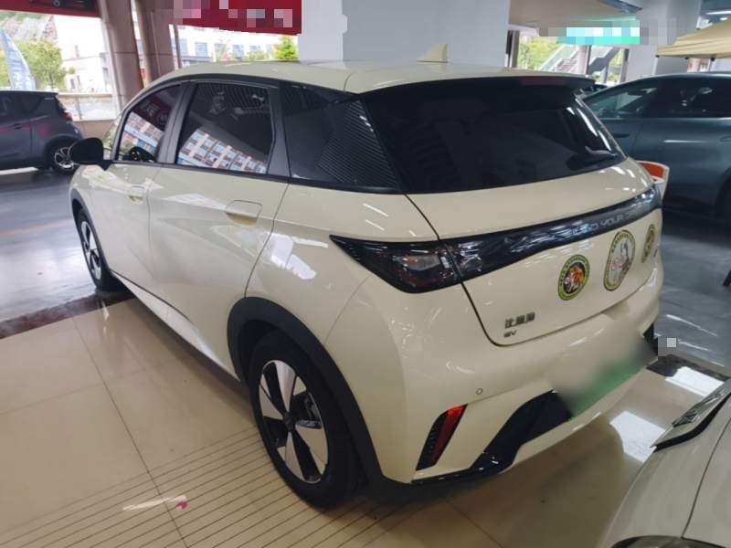 Used BYD Dolphin 2023 420 km Fashion Edition — 27
