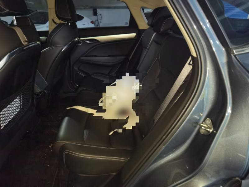 Used Geely Auto Monjaro 2020 High-Energy Edition 300T Yaoxingzhe — 13