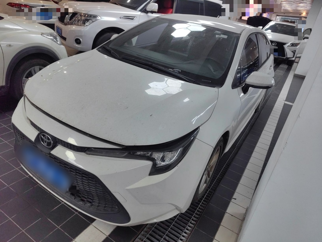 Parte inferior delantera