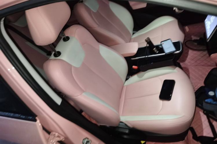 Used NETA V 2021 Witch Edition
