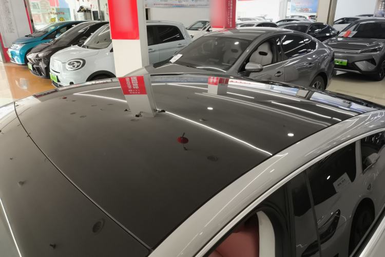 Used XPeng P7 2022 625E Roof