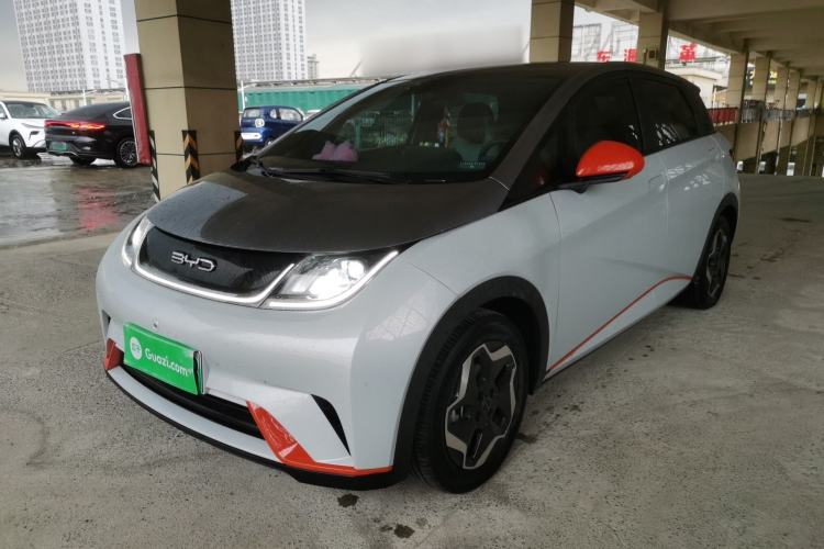 Used BYD Dolphin 2021 405 km Free Version