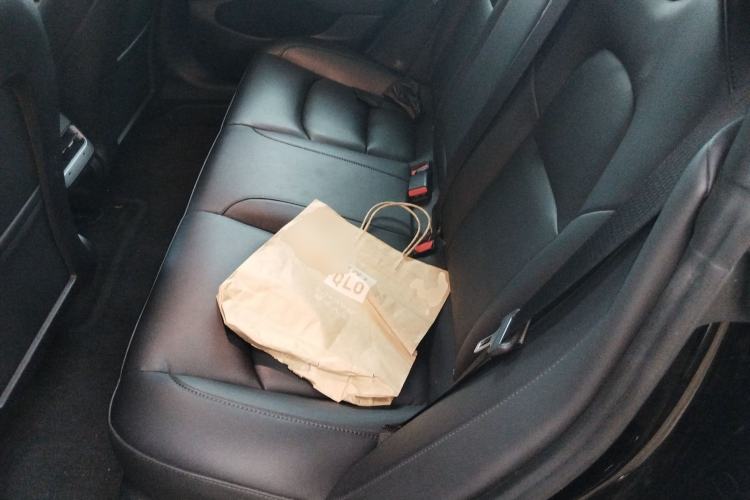 Used Tesla Model 3 2022 Rear-Wheel-Drive Version Left Rear Seat