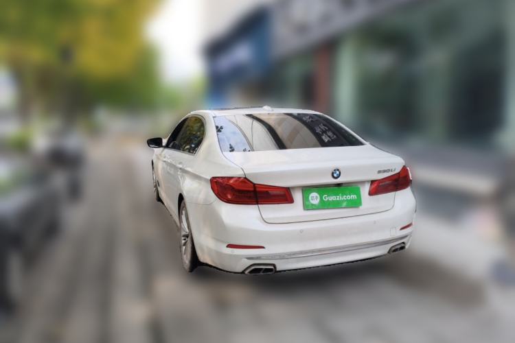 Used BMW 5 Series 2019 530Li Leading Model Luxury Package Rear Left 45 Deg